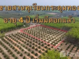Продажа Участок в Клаенг, Районг
