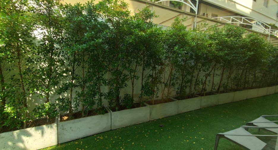 For rent 3 bedrooms condo in Watthana, Bangkok