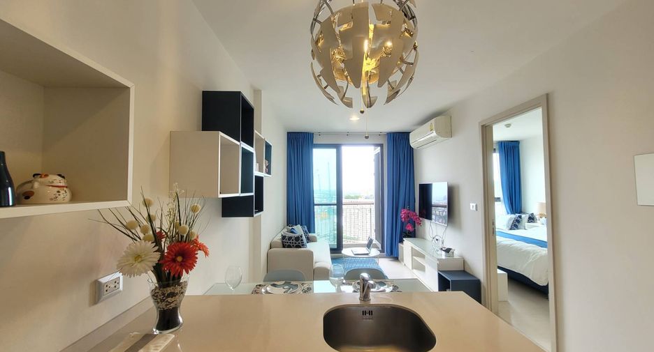For rent 1 bed condo 