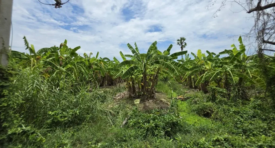 For sale land in Mueang Nakhon Pathom, Nakhon Pathom