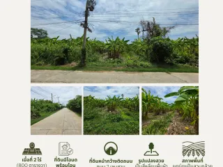 For sale land in Mueang Nakhon Pathom, Nakhon Pathom