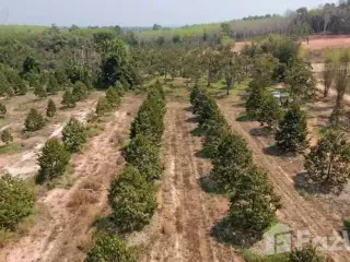 Продажа Участок в Клаенг, Районг