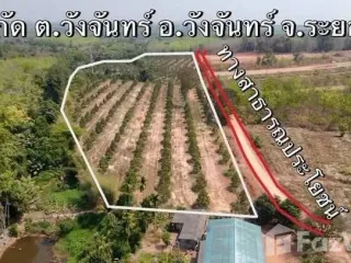 Продажа Участок в Клаенг, Районг
