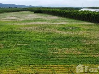 Продажа Участок в Клаенг, Районг