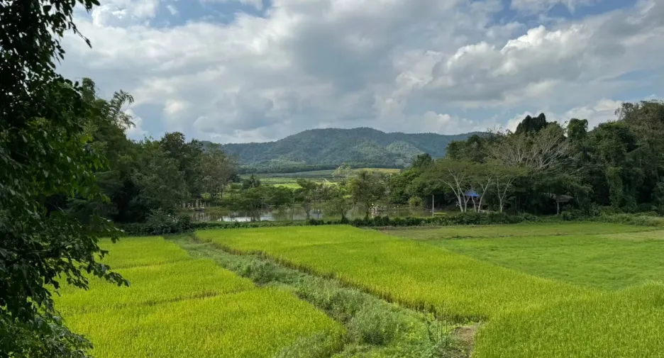 Аренда и продажа 3 спальни дом в Mueang Chiang Rai, Чианг Рай