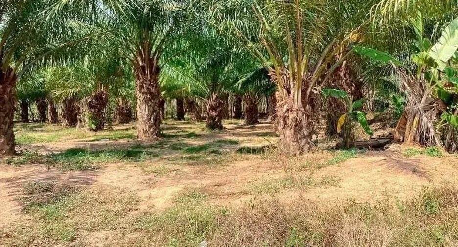 Grundstück zum Kauf in Mueang Rayong, Rayong