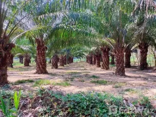 Grundstück zum Kauf in Mueang Rayong, Rayong