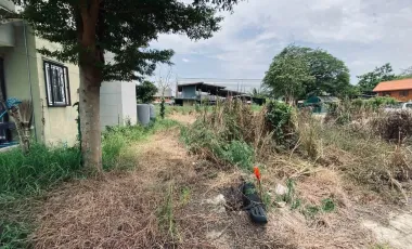 ขาย ที่ดิน 