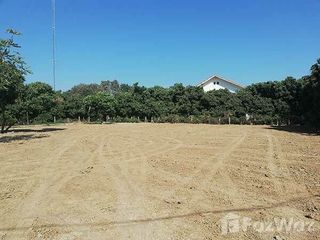 For sale land in San Kamphaeng, Chiang Mai