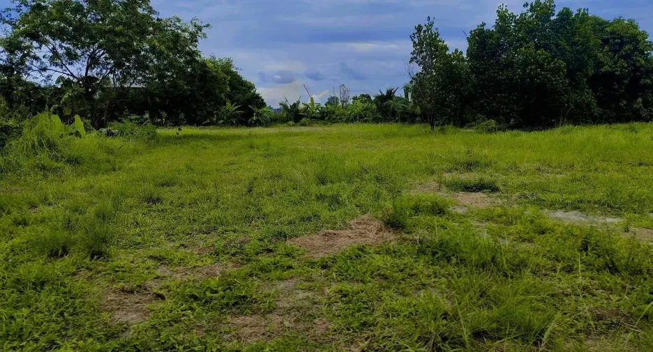 Grundstück zum Kauf in Mueang Rayong, Rayong