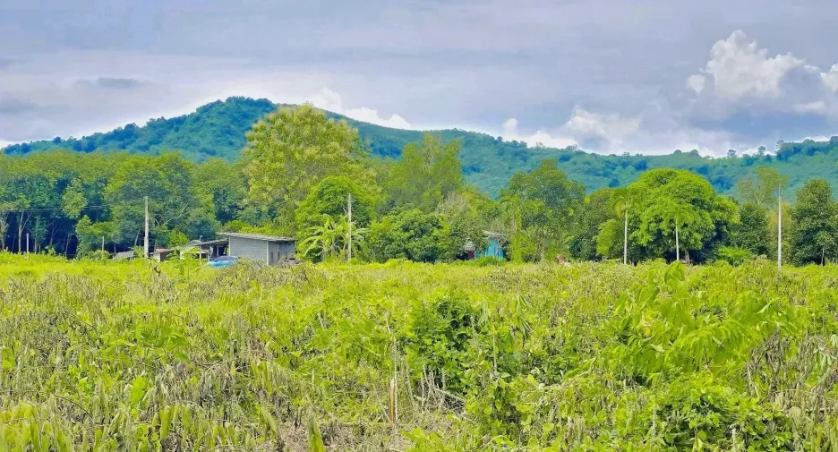 À vendre terrain à Ban Khai, Rayong