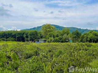 À vendre terrain à Ban Khai, Rayong