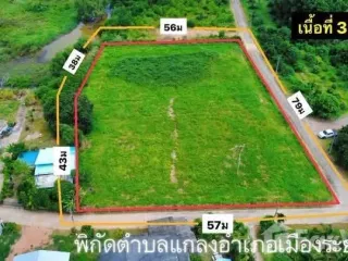 Grundstück zum Kauf in Mueang Rayong, Rayong