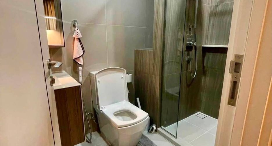 出租 1 卧室 公寓 