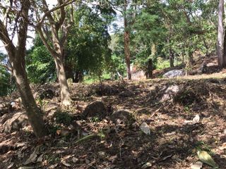 For sale land in Kathu, Phuket