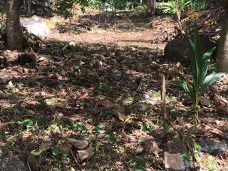 For sale land in Kathu, Phuket