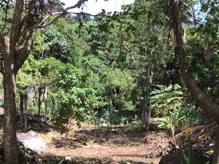 For sale land in Kathu, Phuket
