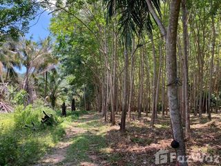 À vendre terrain à Ko Yao, Phang Nga