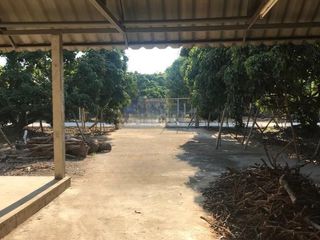 Terreno en venta en Wiang Nong Long, Lamphun