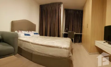 Condo en alquiler y en venta de estudio 