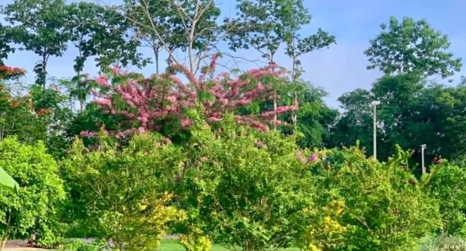Grundstück zum Kauf in Thong Pha Phum, Kanchanaburi