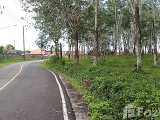 For sale land in Thalang, Phuket