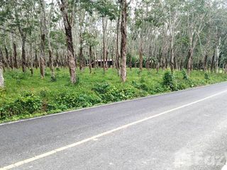 For sale land in Thalang, Phuket