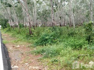 For sale land in Thalang, Phuket