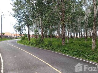 For sale land in Thalang, Phuket