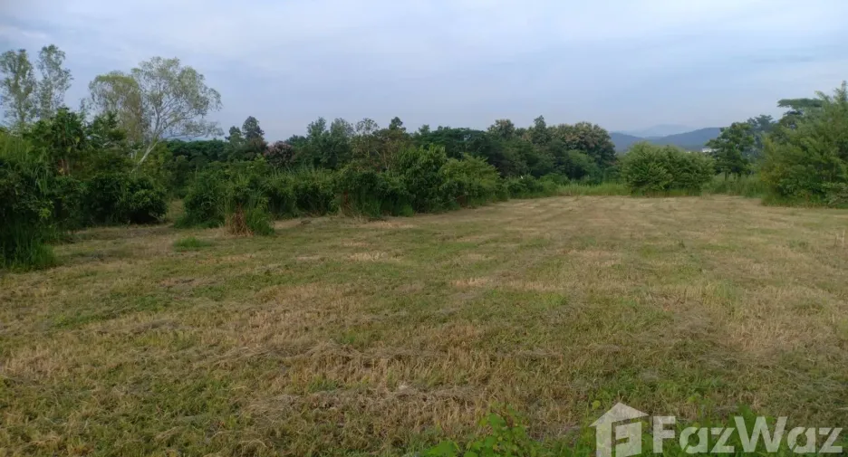 For sale land in Mae Taeng, Chiang Mai