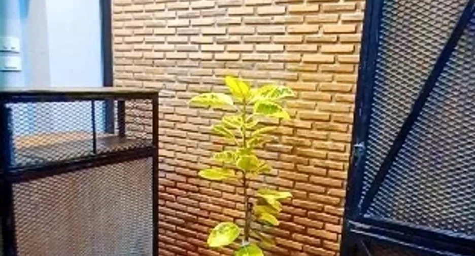 Hotel zum Kauf mit 9 Zimmer in Bang Lamung, Chonburi