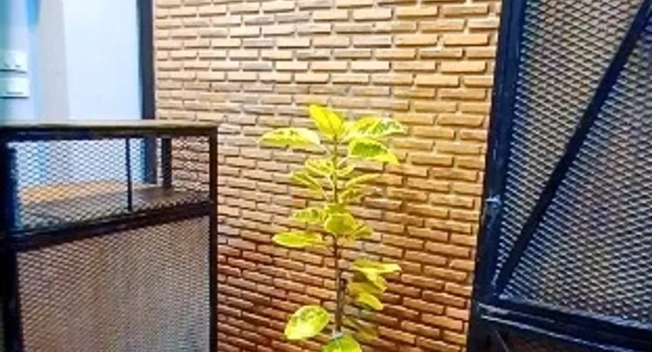 出售 9 卧室 酒店 在 Bang Lamung, Chon Buri
