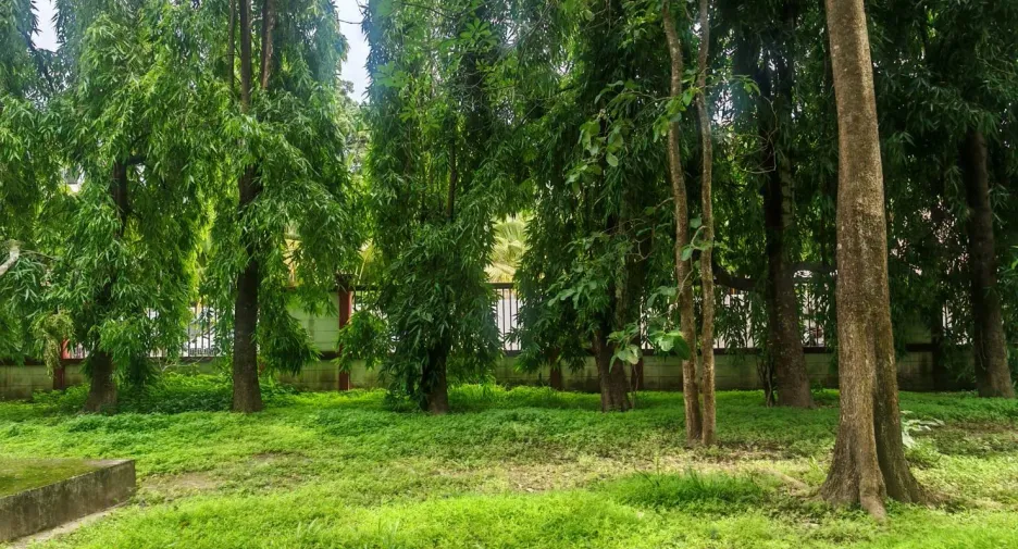For sale 4 bedrooms house in Mueang Chiang Mai, Chiang Mai