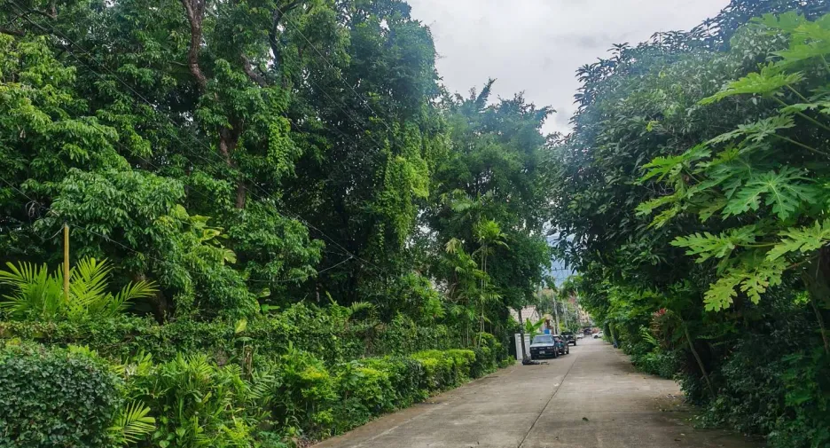 For sale 4 bedrooms house in Mueang Chiang Mai, Chiang Mai