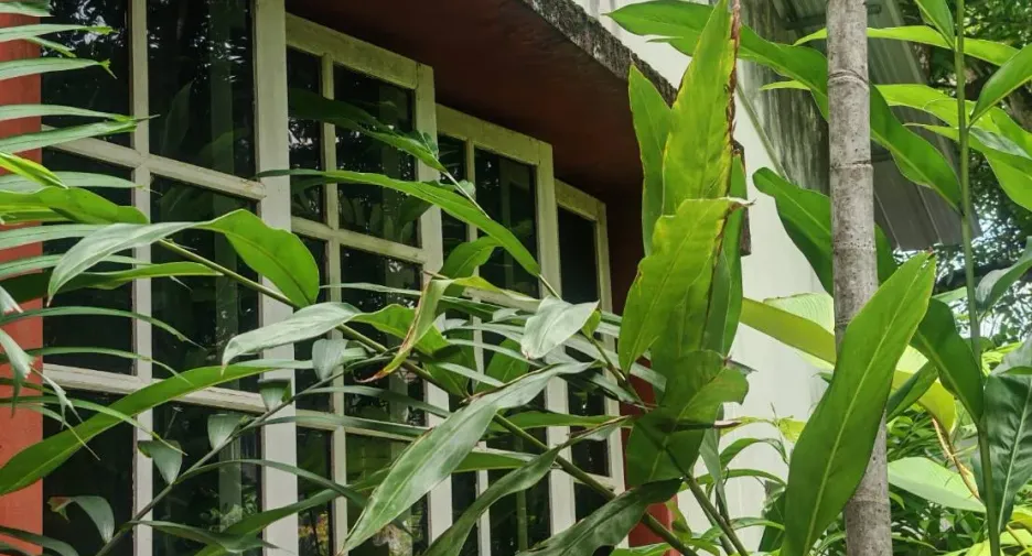 For sale 4 bedrooms house in Mueang Chiang Mai, Chiang Mai
