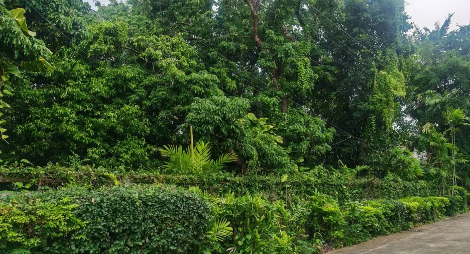 For sale 4 bedrooms house in Mueang Chiang Mai, Chiang Mai