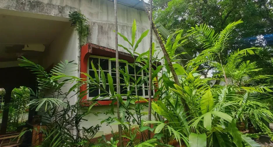 For sale 4 bedrooms house in Mueang Chiang Mai, Chiang Mai