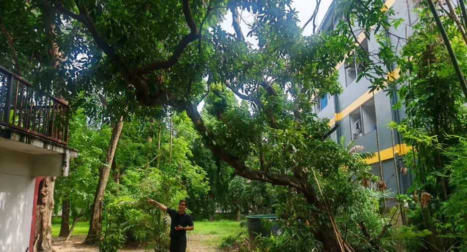 For sale 4 bedrooms house in Mueang Chiang Mai, Chiang Mai