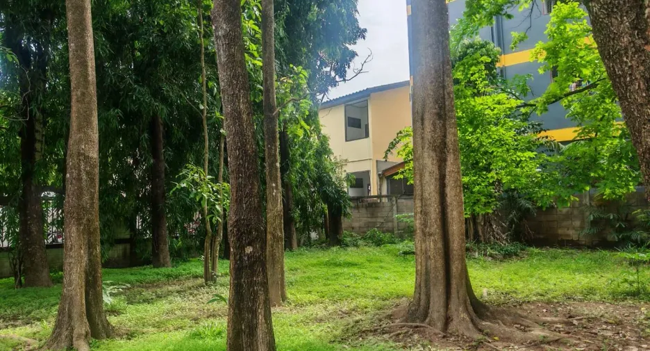 For sale 4 bedrooms house in Mueang Chiang Mai, Chiang Mai