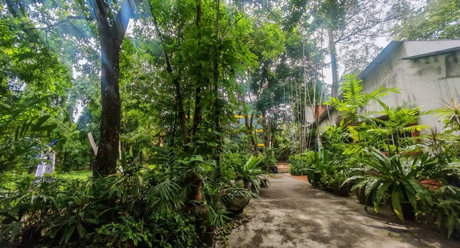 For sale 4 bedrooms house in Mueang Chiang Mai, Chiang Mai
