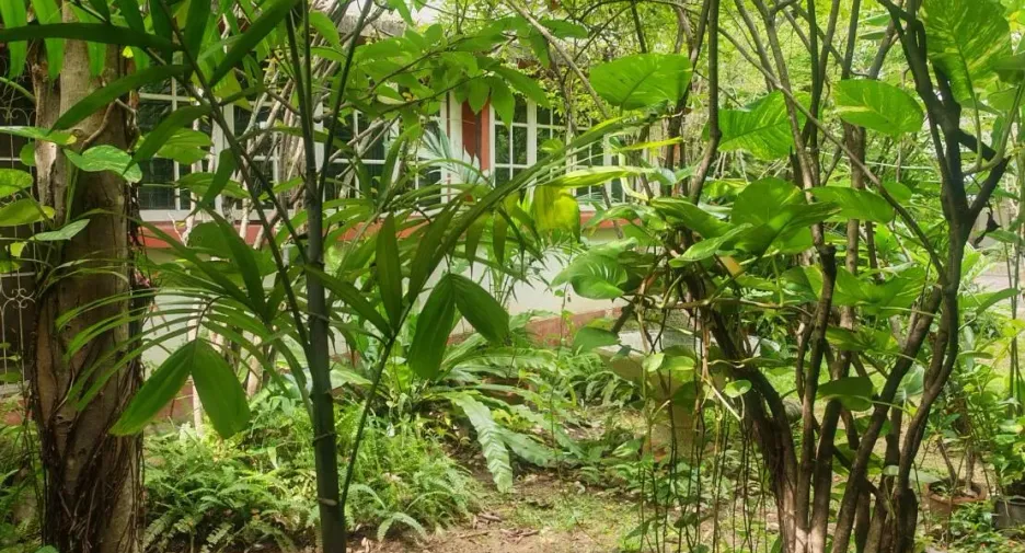 For sale 4 bedrooms house in Mueang Chiang Mai, Chiang Mai