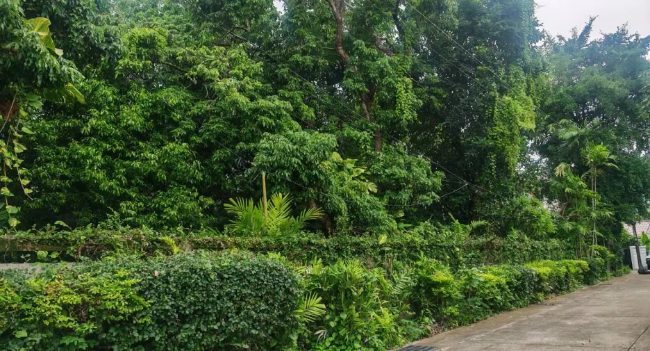 For sale 4 bedrooms house in Mueang Chiang Mai, Chiang Mai