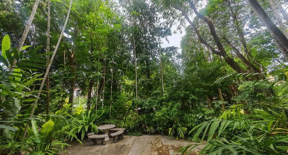 For sale 4 bedrooms house in Mueang Chiang Mai, Chiang Mai