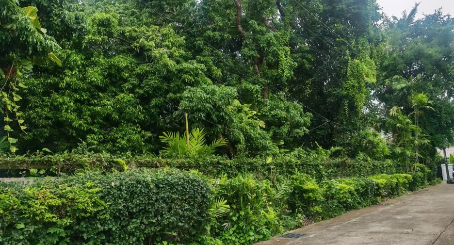 For sale 4 bedrooms house in Mueang Chiang Mai, Chiang Mai