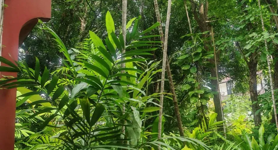 For sale 4 bedrooms house in Mueang Chiang Mai, Chiang Mai