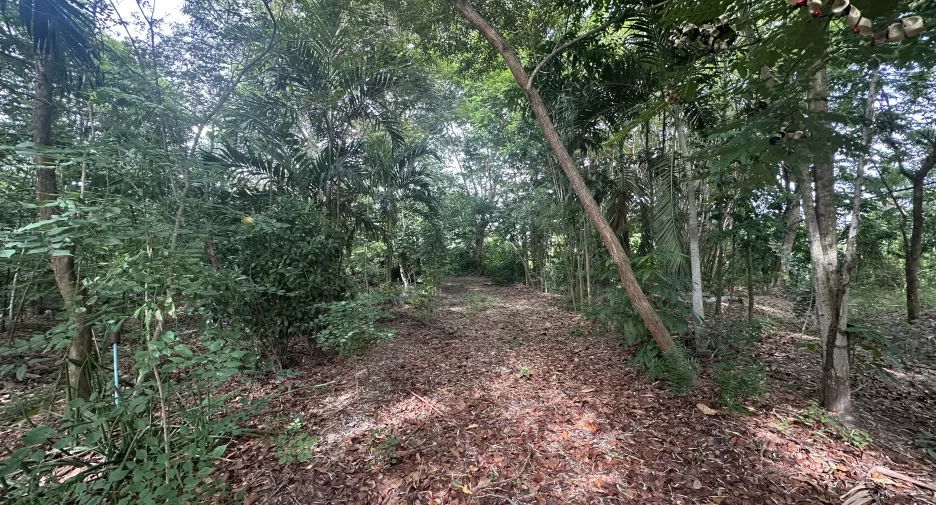 Terreno en venta en Nong Suea, Pathum Thani