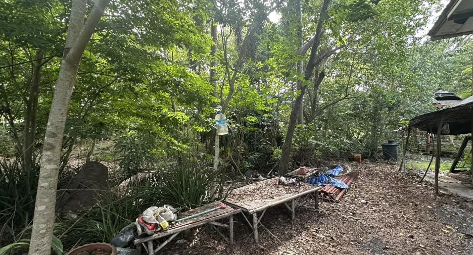 Terreno en venta en Nong Suea, Pathum Thani