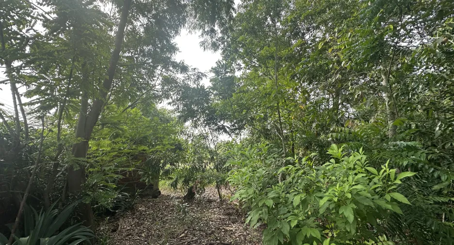 Terreno en venta en Nong Suea, Pathum Thani