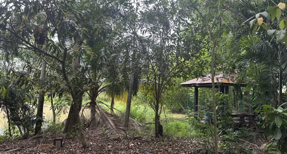 Terreno en venta en Nong Suea, Pathum Thani