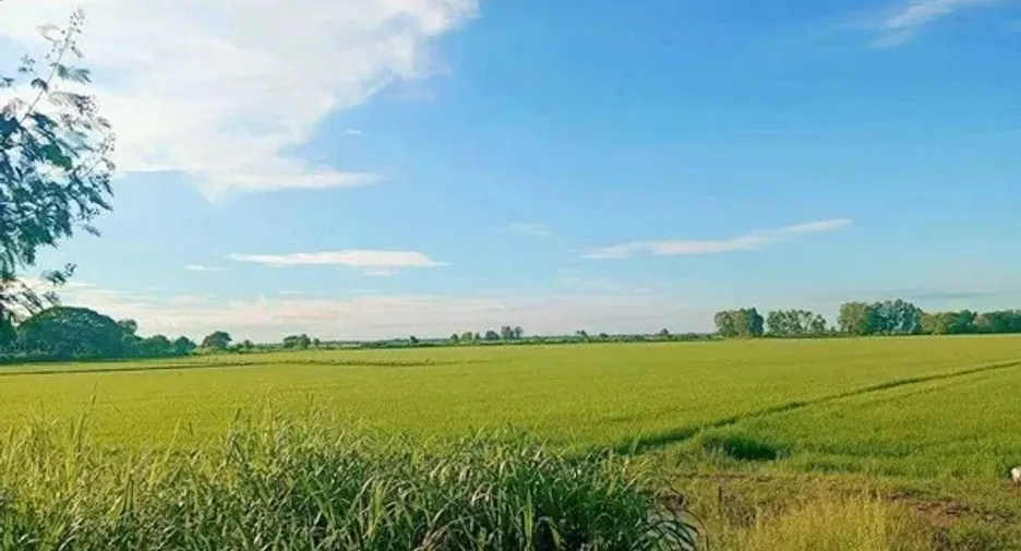Grundstück zum Kauf in Bang Pahan, Phra Nakhon Si Ayutthaya
